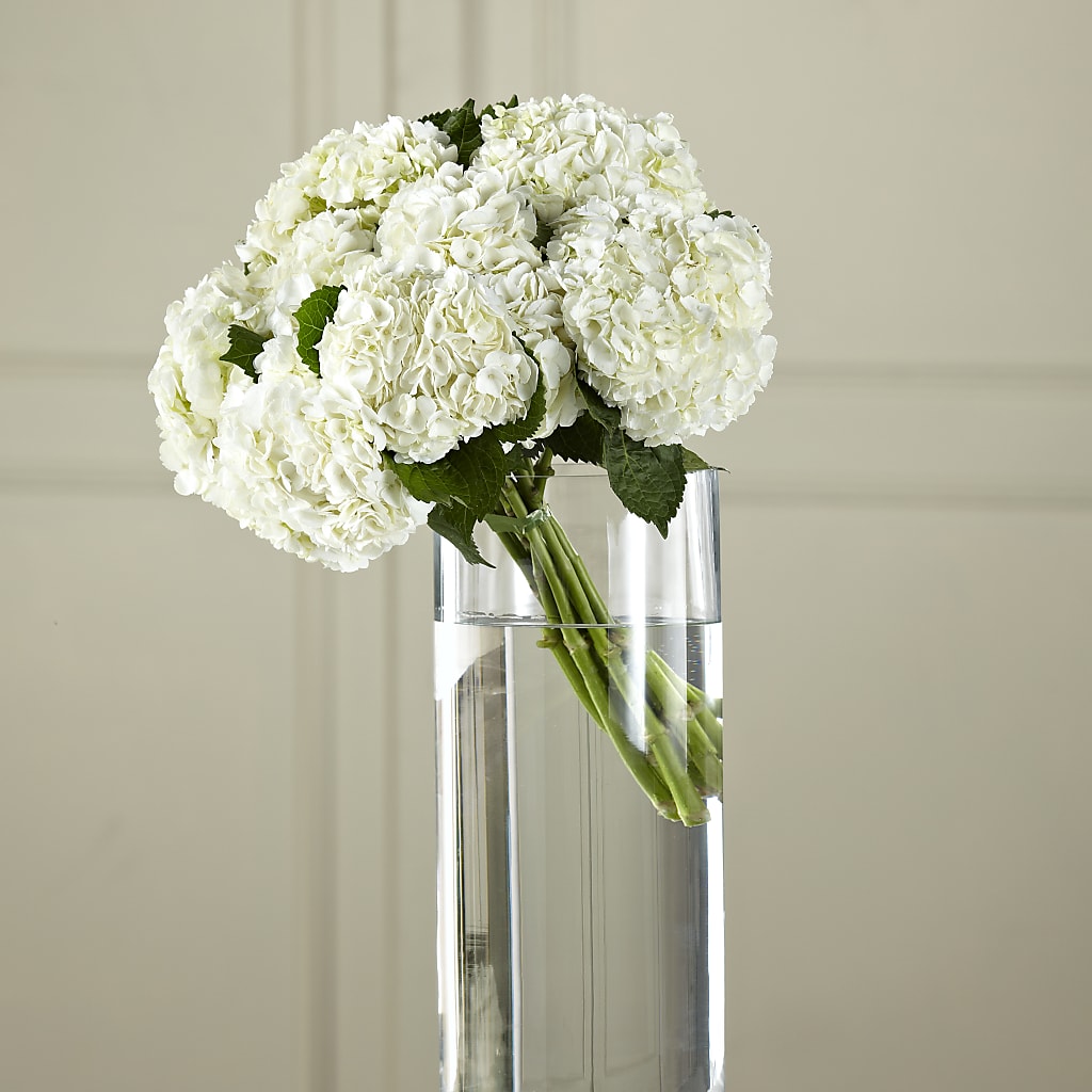 White Hydrangea Hand-Tied Bouquet – Magnolia Floral Design, Santa Ana CA