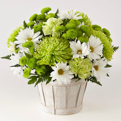 Lucky Charm Basket (Standard) –  Magnolia Floral Design, Santa Ana CA