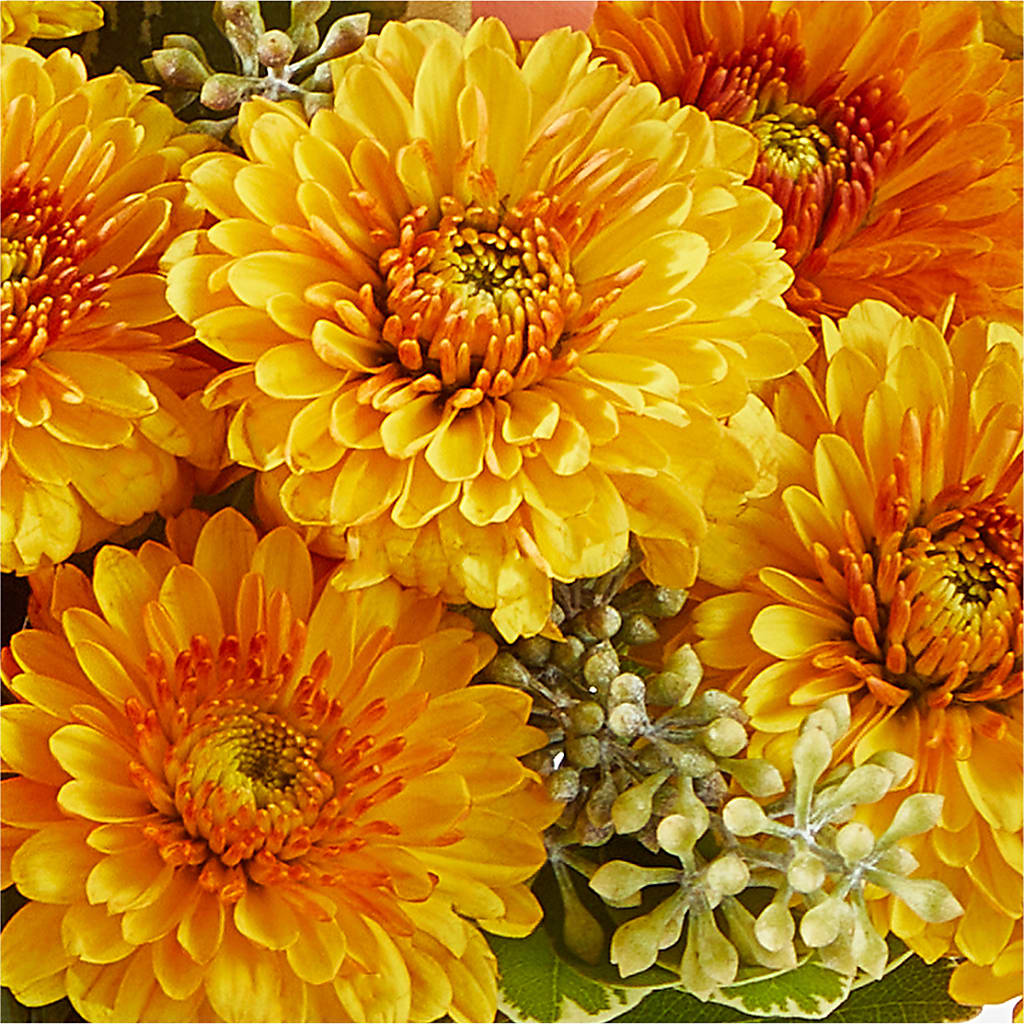 Peachy Pumpkin –  Magnolia Floral Design, Santa Ana CA