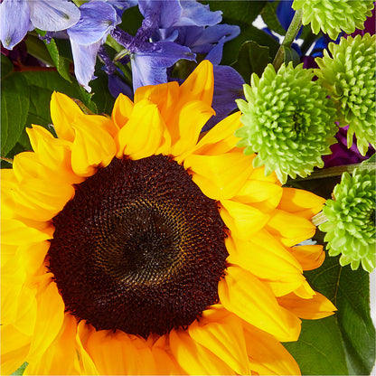 Catching Rays Bouquet –  Magnolia Floral Design, Santa Ana CA
