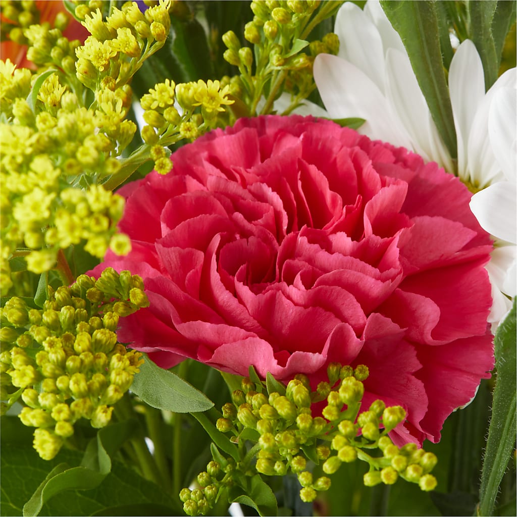 Oopsie Daisy Bouquet –  Magnolia Floral Design, Santa Ana CA