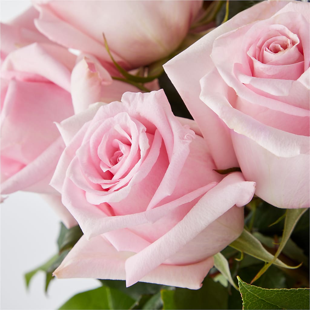 Picture Perfect Pink Rose Bouquet –  Magnolia Floral Design, Santa Ana CA