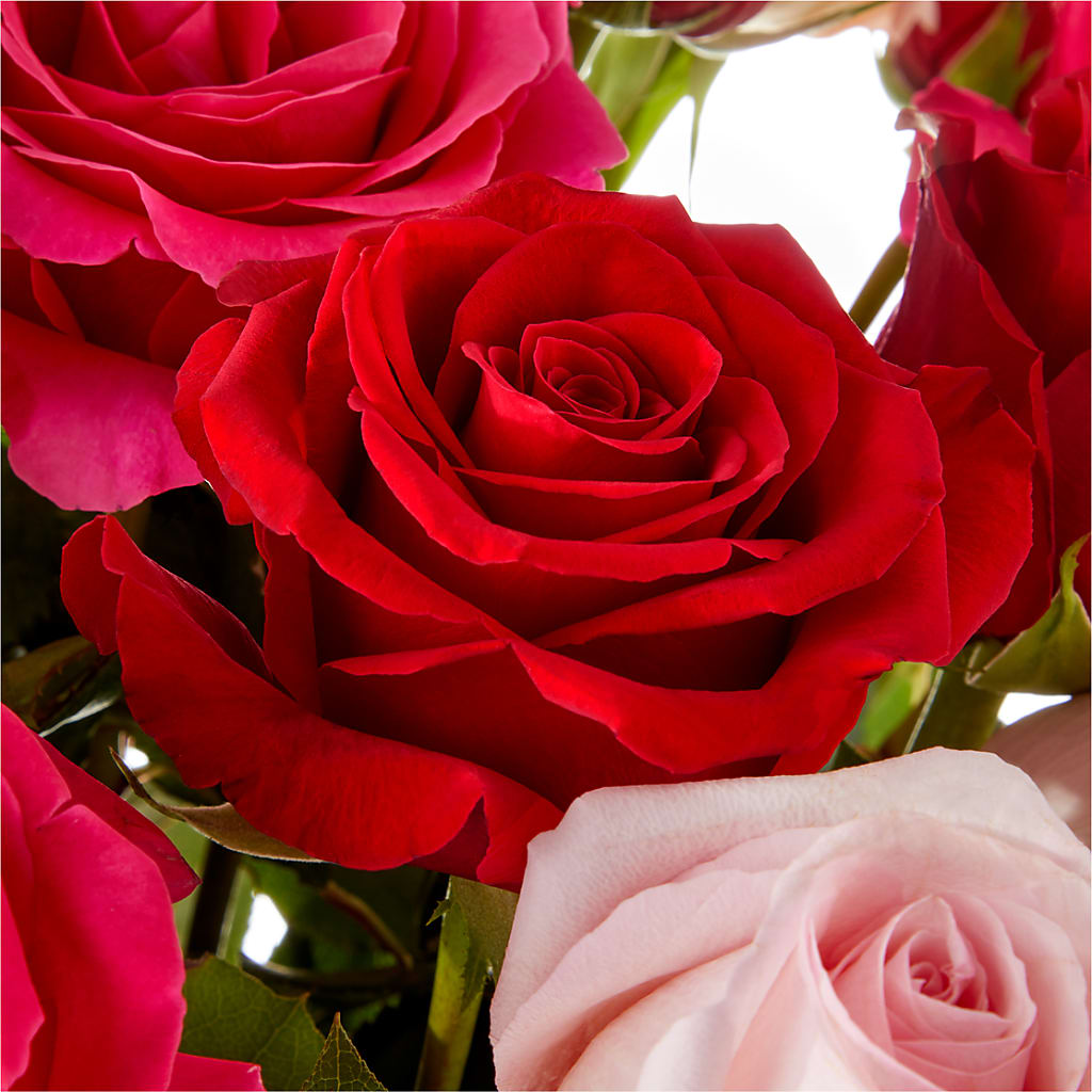 Love Notes Rose Bouquet –  Magnolia Floral Design, Santa Ana CA