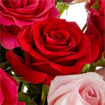 Love Notes Rose Bouquet –  Magnolia Floral Design, Santa Ana CA