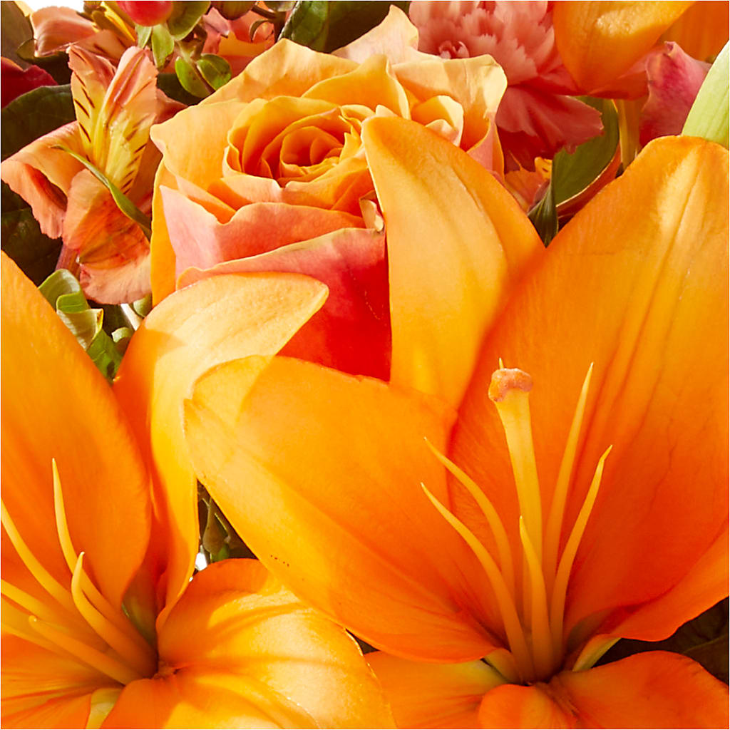 Afternoon Light Bouquet –  Magnolia Floral Design, Santa Ana CA