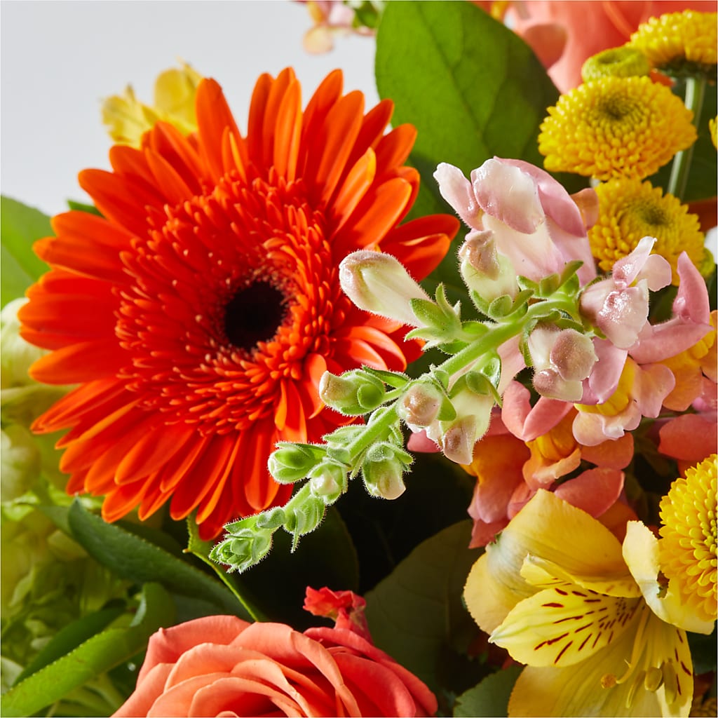 Autumn Sunshine Bouquet –  Magnolia Floral Design, Santa Ana CA