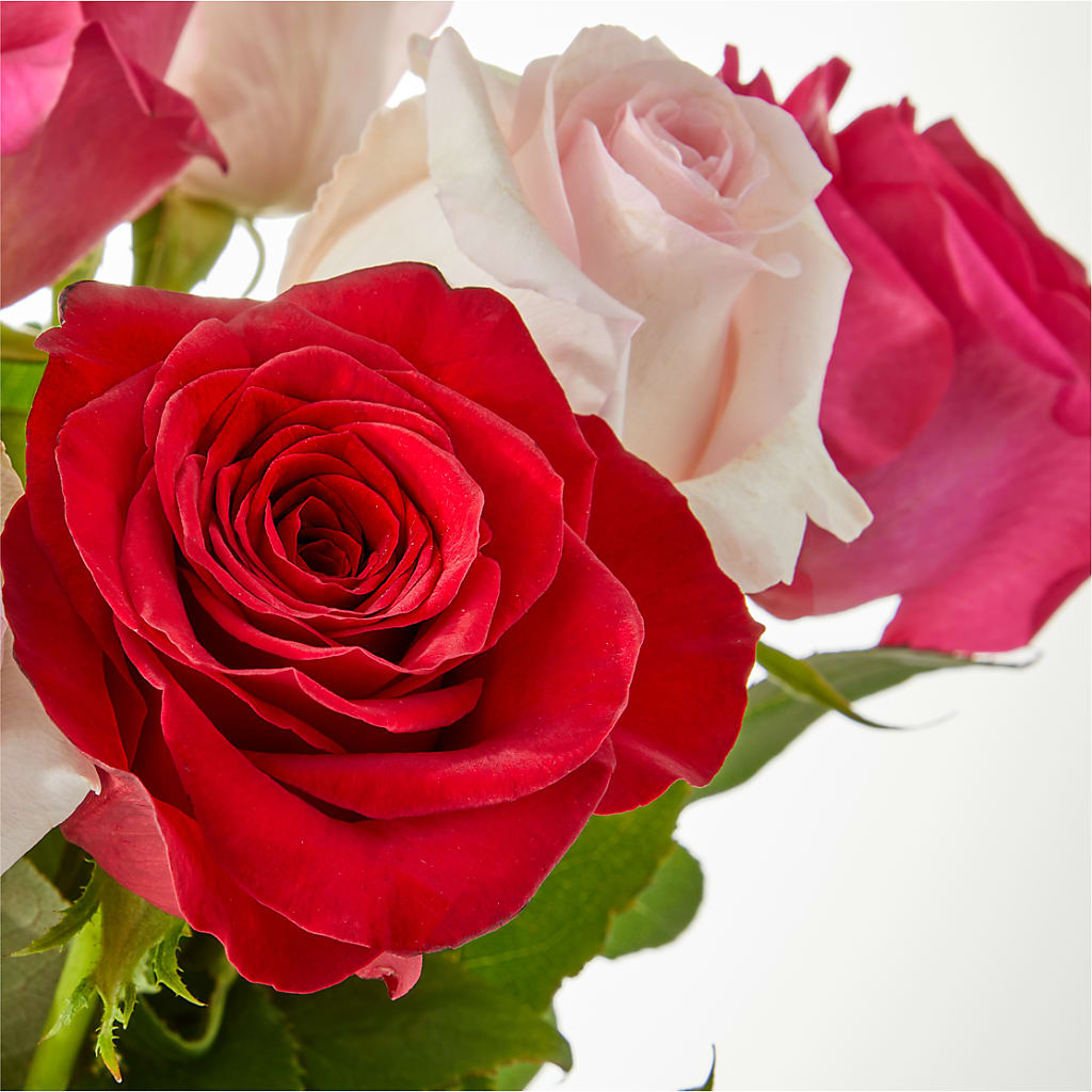 Charming Rose Bouquet –  Magnolia Floral Design, Santa Ana CA
