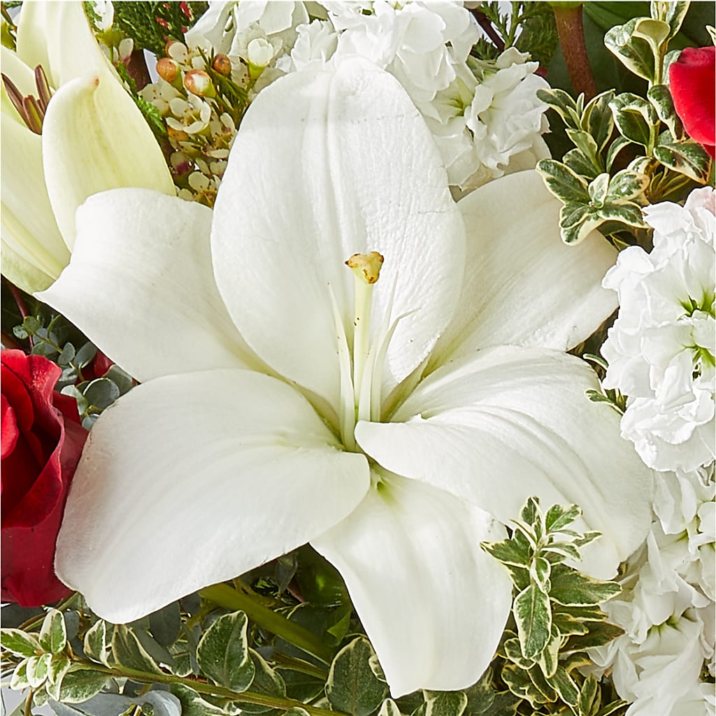 Twinkle Lights Bouquet –  Magnolia Floral Design, Santa Ana CA