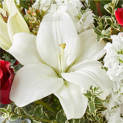 Twinkle Lights Bouquet –  Magnolia Floral Design, Santa Ana CA