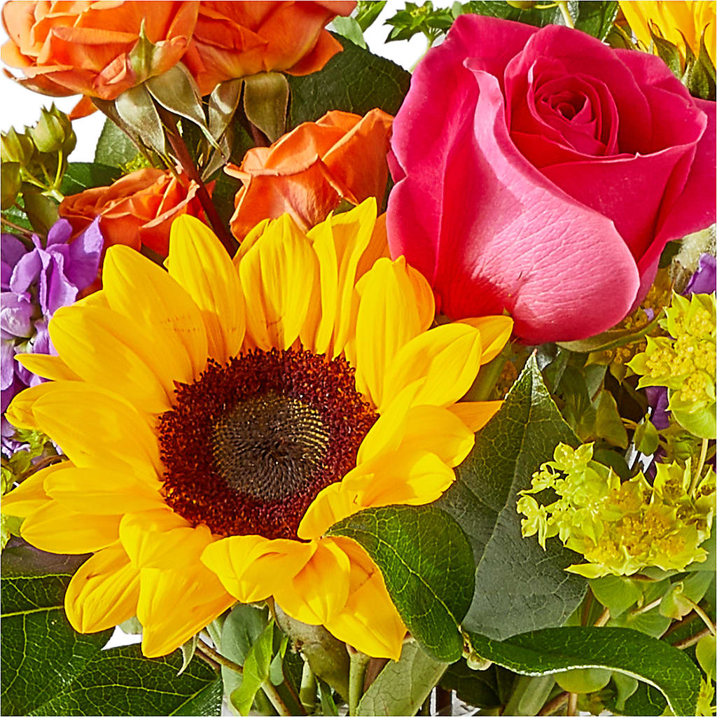 Vibrant Greetings Bouquet –  Magnolia Floral Design, Santa Ana CA