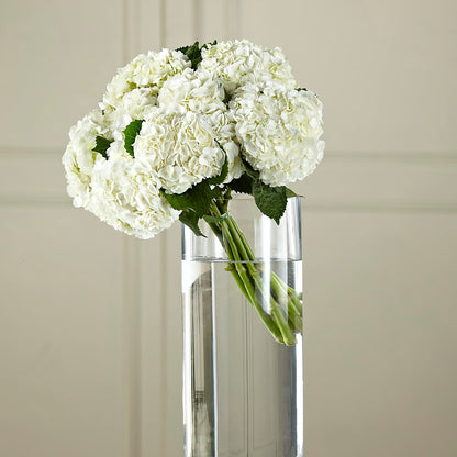 White Hydrangea Hand-Tied Bouquet –  Magnolia Floral Design, Santa Ana CA
